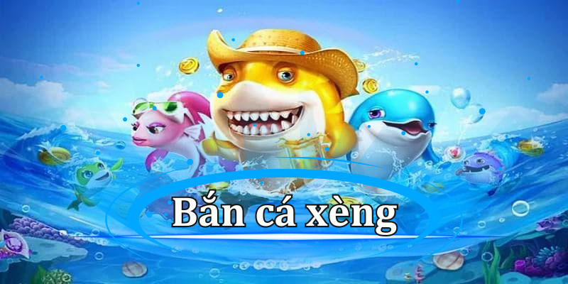 ban-ca-xeng